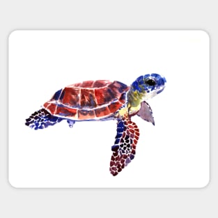 Sea Turtle Sticker